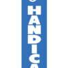 handicap-econo-stock-flag