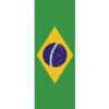 brazilian-flag-econo-stock-flag