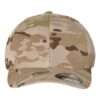 Multicam Arid