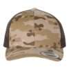 Multicam Arid/ Brown